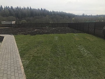 IMG_2486